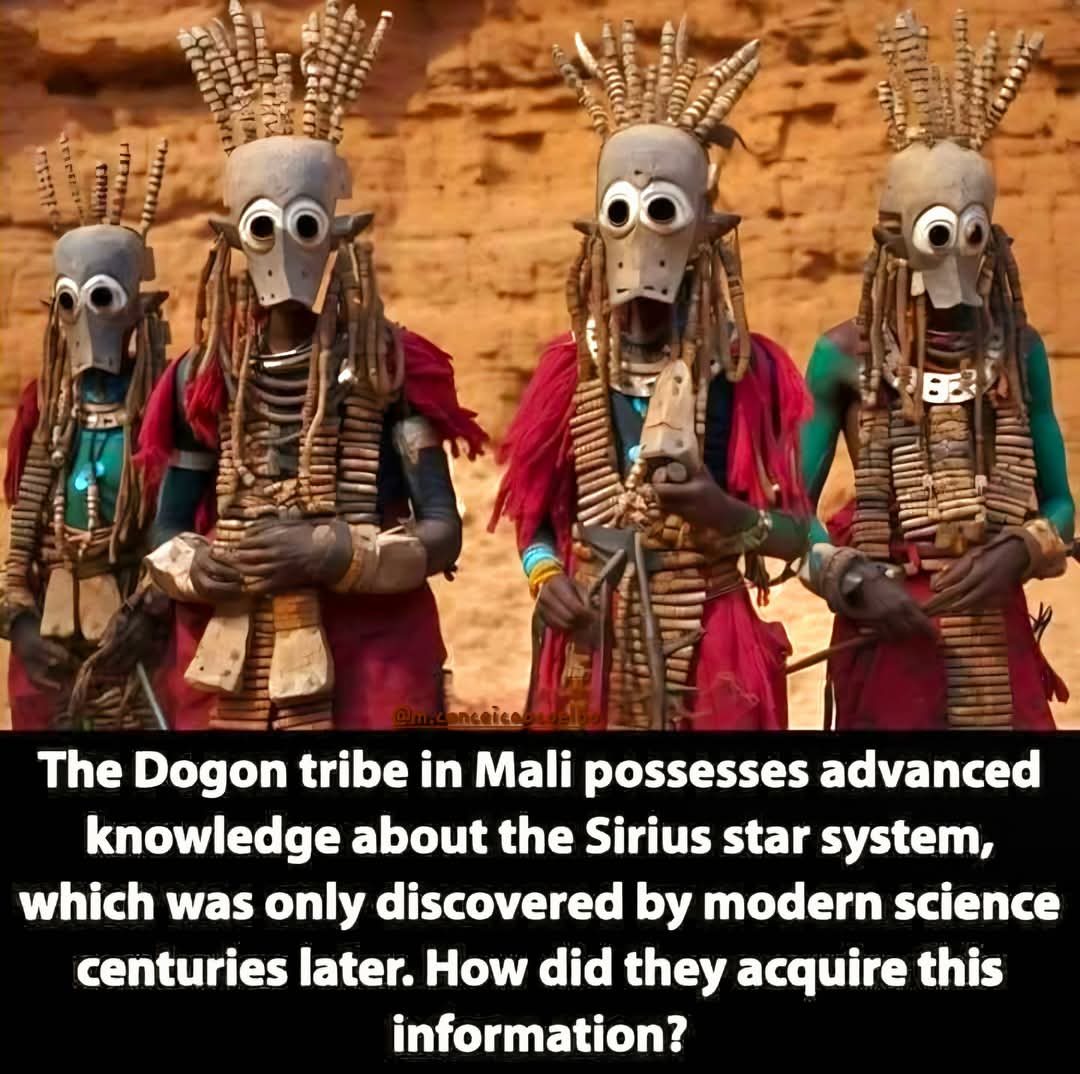The Dogon Tribe in Mali possesses advanced knowledge about the Sirius star system, which was only discovered by modern science centuries later. How did they acquire this information?