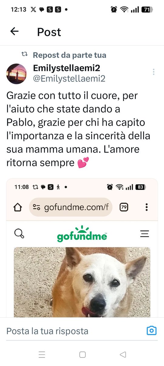 L' AIUTO PER PABLO, È FERMO, ANCHE 5 EURO SONO IMPORTANTI. SE FOSSE NOSTRO IL CANE, FAREMMO DI TUTTO PER SALVARLO. VI PREGO AIUTIAMOLO. GRAZIE❤️