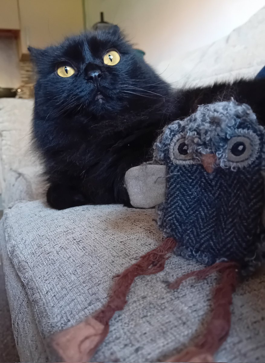 Me and Nippy Owl chillin.