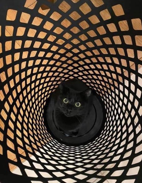 MeowWoof Pet tweet media