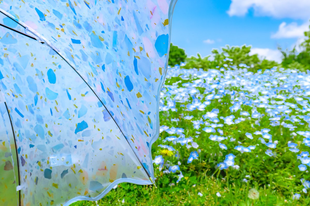 Sorani___Ao's tweet image. 瑠璃色の花が風に揺れ
透き通る傘が静かに春を紡ぐ。

#PR #提供