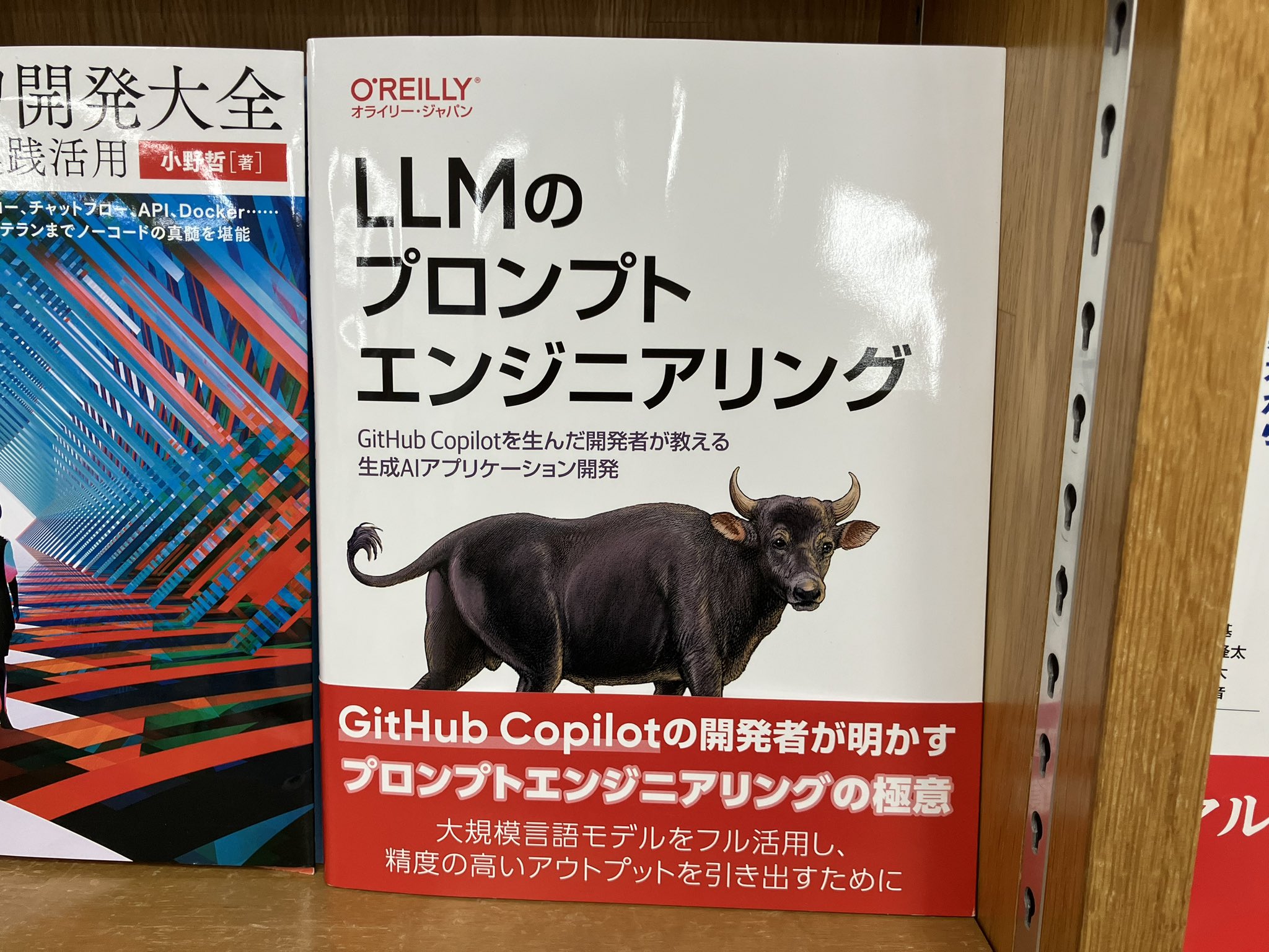 LLMのプロンプトエンジニアリング GitHub Copilotを生んだ開発者 Amazon.co.jp: LLMのプロンプトエンジニアリング —GitHub