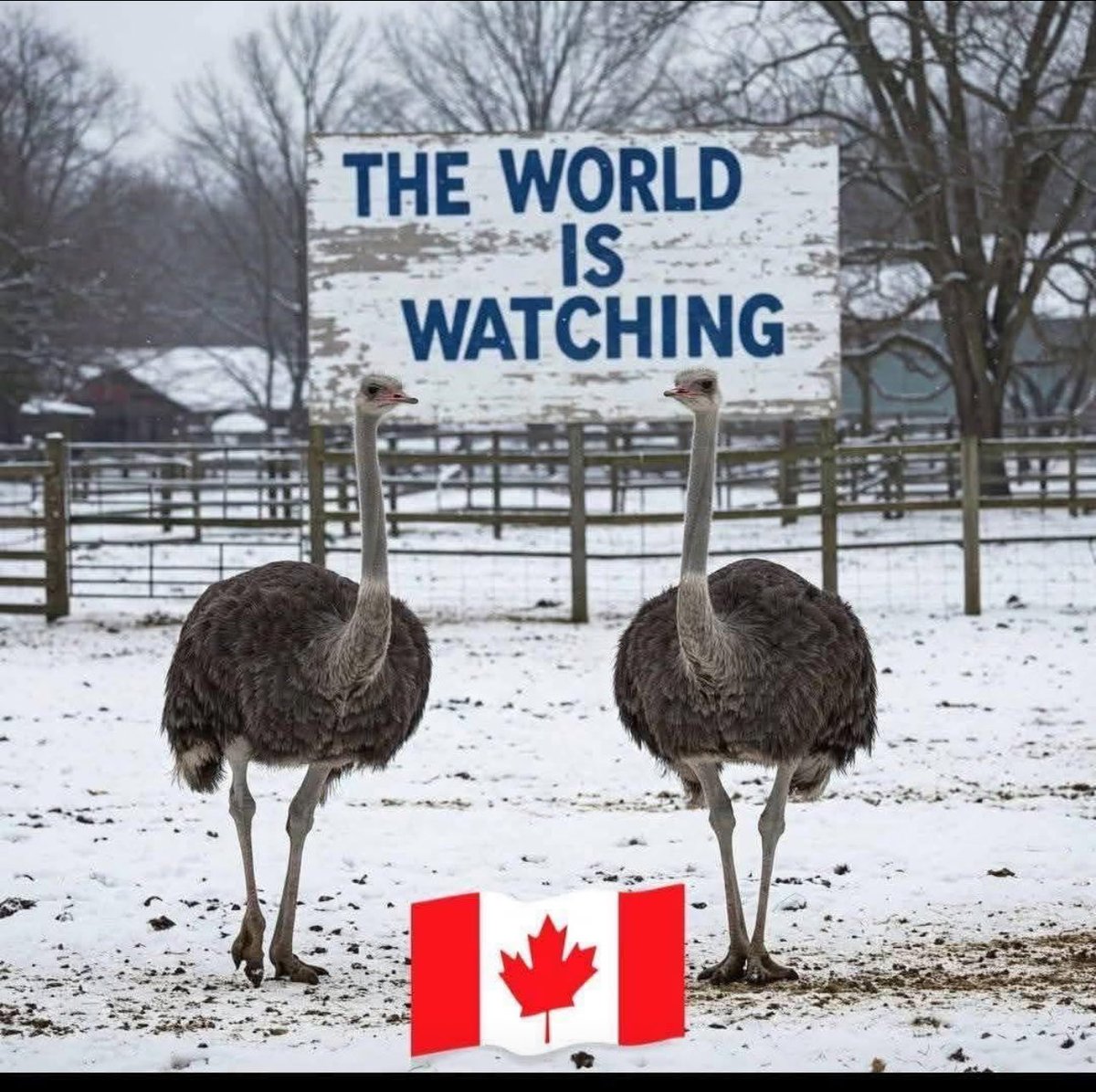 Sassygal (@sassygal1971) on Twitter photo 