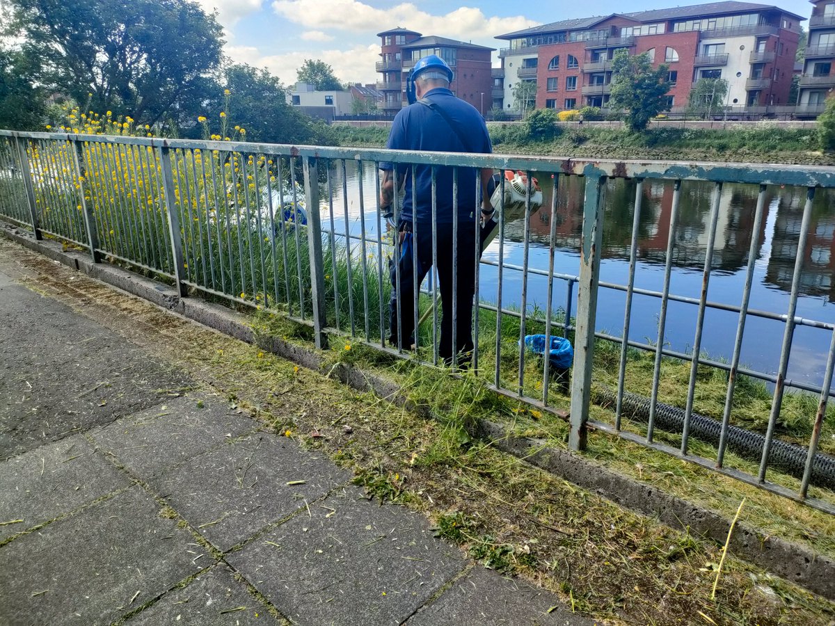 Ireland's Trees & Mythology (@tree_folklore) on Twitter photo Why, IN MAY, are all the wildflowers being butchered in the River Lagan?
You suck our money from us for this?
<a href="/deptinfra/">Department for Infrastructure</a>
<a href="/belfastcc/">Belfast City Council</a> Why, IN MAY, are all the wildflowers being butchered in the River Lagan?
You suck our money from us for this?
<a href="/deptinfra/">Department for Infrastructure</a>
<a href="/belfastcc/">Belfast City Council</a>