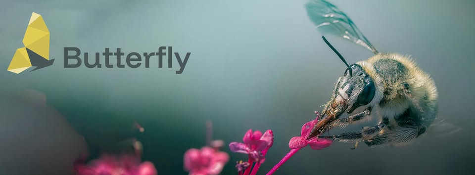 Research-UMU (@research_um) on Twitter photo 🦋 La <a href="/UMU/">Universidad Murcia</a> participará en el proyecto europeo BUTTERFLY para estudiar el declive de los polinizadores y su impacto 🌍
👩🔬 <a href="/Delarua_pilar/">Pilar De la Rúa</a> liderará la labor experimental en un laboratorio “vivo” único en España, clave en la investigación junto a otros 5 en Europa 🦋 La <a href="/UMU/">Universidad Murcia</a> participará en el proyecto europeo BUTTERFLY para estudiar el declive de los polinizadores y su impacto 🌍
👩🔬 <a href="/Delarua_pilar/">Pilar De la Rúa</a> liderará la labor experimental en un laboratorio “vivo” único en España, clave en la investigación junto a otros 5 en Europa
