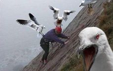 민감한 게시글 걸렸나???? 어쨌든 재업