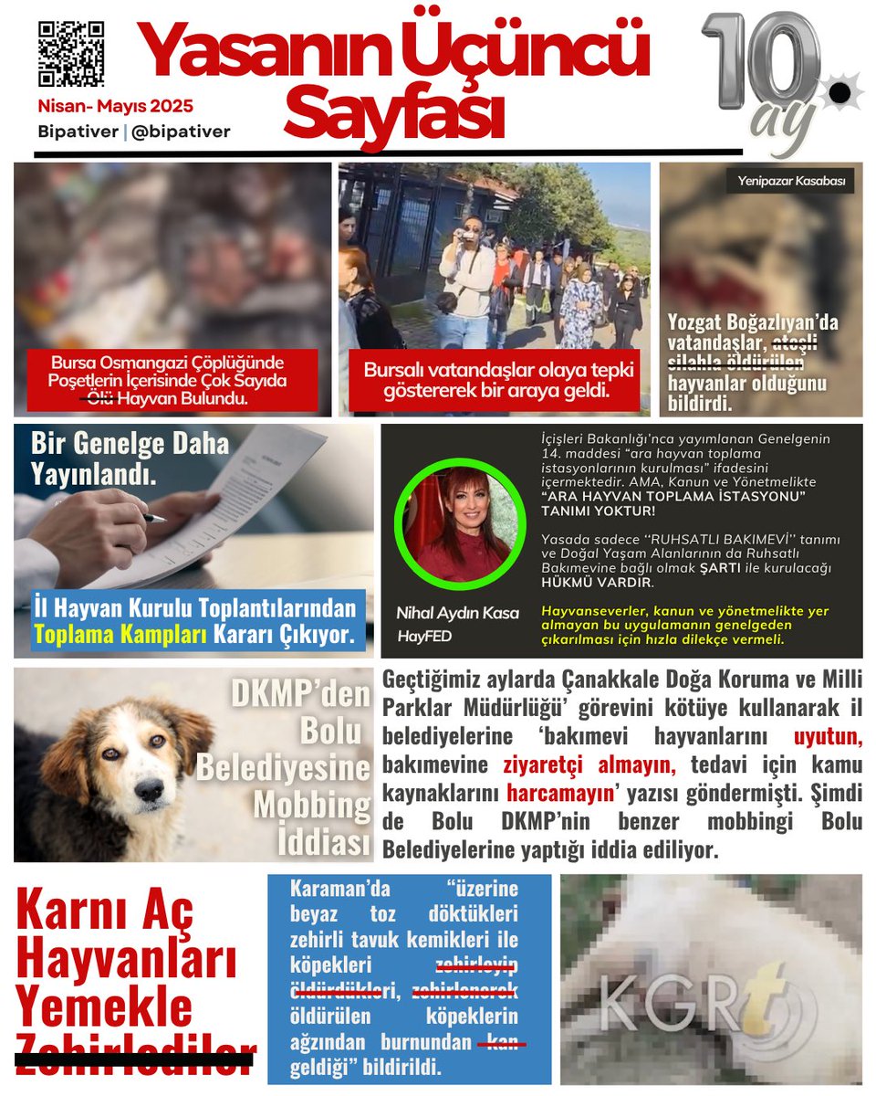 📰 Yasanın 3. Sayfası!

Kanlı yasanın üzerinden yaklaşık 10 ay geçti. Bu süre içerisinde binlerce hayvan barınaklarda, tenha sokaklarda, çocuk parklarında, kısacası her türlü yer ve zamanda katledildi. Sadece hayvanlar değil, hayvanları korumaya çalışan vatandaşlar, gönüllüler ve
