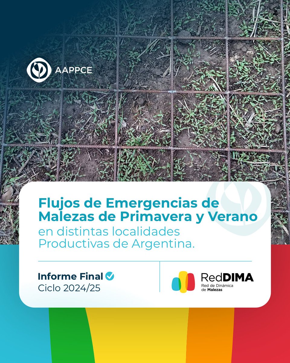 📄 𝙄𝙣𝙛𝙤𝙧𝙢𝙚 𝙛𝙞𝙣𝙖𝙡 #𝙍𝙚𝙙𝘿𝙄𝙈𝘼 | Primavera-verano 2024-25 📈🌿

Curvas de nacimientos de malezas en 20 sitios a lo largo de todo el ciclo. 

Mirá la dinámica de #Amaranthus #Bidens #Digitaria #Echinochloa #Eleusine #Euphorbia #Brassica

📥👉 bit.ly/4mhDGQN