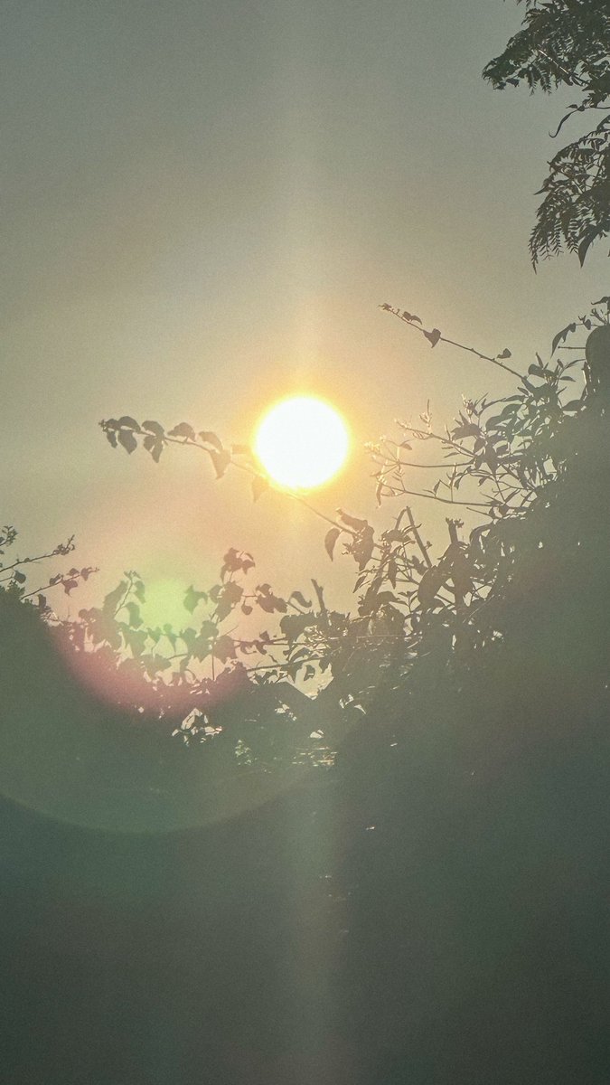 At this point, I have no problem saying that full spectrum sunlight does not inherently cause melanoma, basal cell carcinoma, squamous cell carcinoma, or any other skin cancer

1. All anti-cancer defenses like autophagy, apoptosis, senescence, tumor suppression, DNA repair