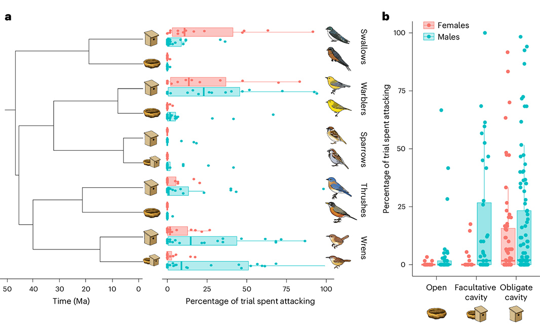 Nature Portfolio (@natureportfolio) on Twitter photo A study in <a href="/NatureEcoEvo/">NatureEcoEvo</a> identifies convergent patterns of gene expression associated with aggression and nesting behaviour in obligate cavity-nesting birds. go.nature.com/3YEPZww 🔒 A study in <a href="/NatureEcoEvo/">NatureEcoEvo</a> identifies convergent patterns of gene expression associated with aggression and nesting behaviour in obligate cavity-nesting birds. go.nature.com/3YEPZww 🔒