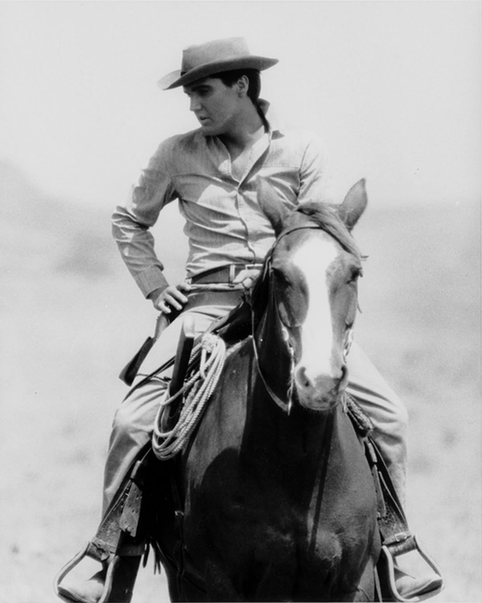 "Flaming Star" emerged as the definitive title for the Western film, prevailing over other options including "Flaming Lance," "Flaming Heart," "Black Star," "Brothers of Flaming Lance," and "Black Heart."

#ElvisPresley #Icon #FlamingStar #WesternMovie #FilmTitle #MovieTrivia