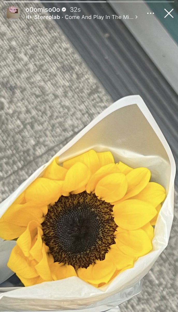 ☆ 14/05 MISO IG STORY UPDATE ☆

Sunflower 🌻 &amp; ‘Come and Play in the Milky Night’ by Stereolab playing 🎶