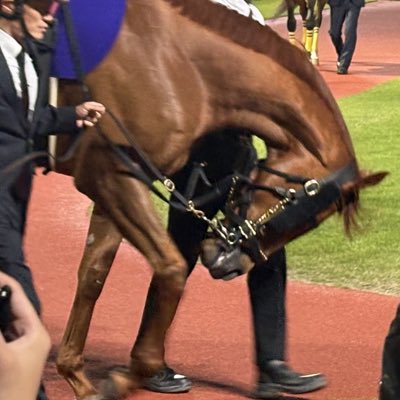 幸一郎 tweet media