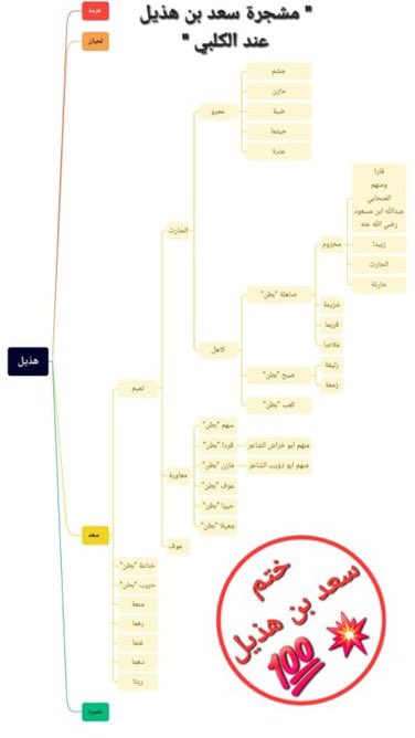 هذيل قبيلة عدنانية ذائعة الصيت عظيمة القدر تنحدر من جذور مُضرية كريمة ومن أرومة خندفية عريقة يغلب عليها البداوة الطاغية وتُهيمن على مواطن واسعه من بوادي مكه"سهلاً وسراةً تُهماً وحِجازاً" وهم ذؤبان العرب وفُتّاكها وهم الرُماة لايُخطئون "نبلاً وبارودً"وهم أفصح لساناً وأشعر شِعراً👇🏻