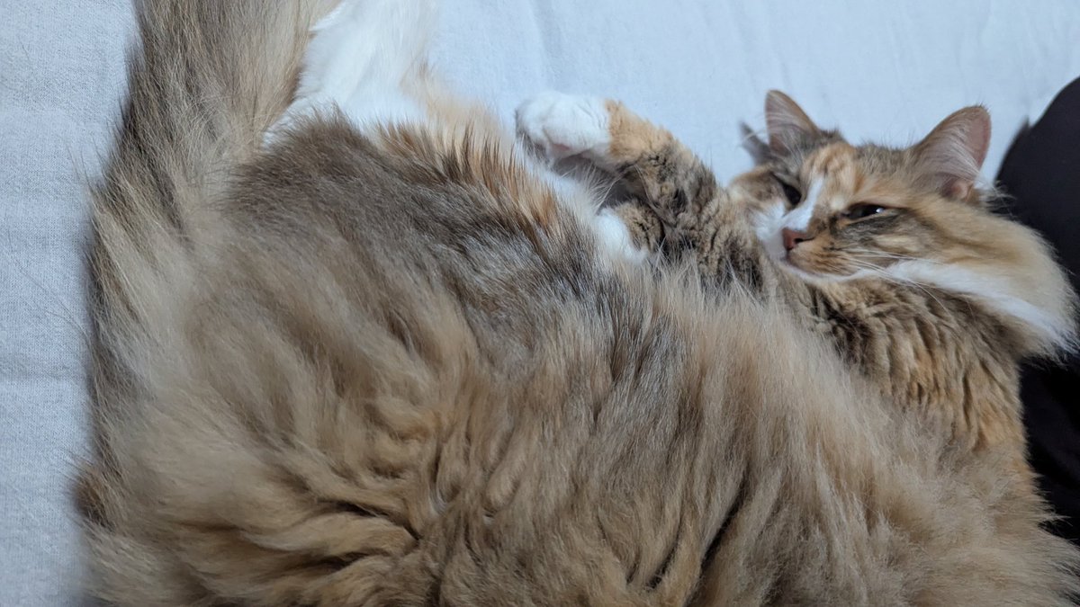 2歳になりました