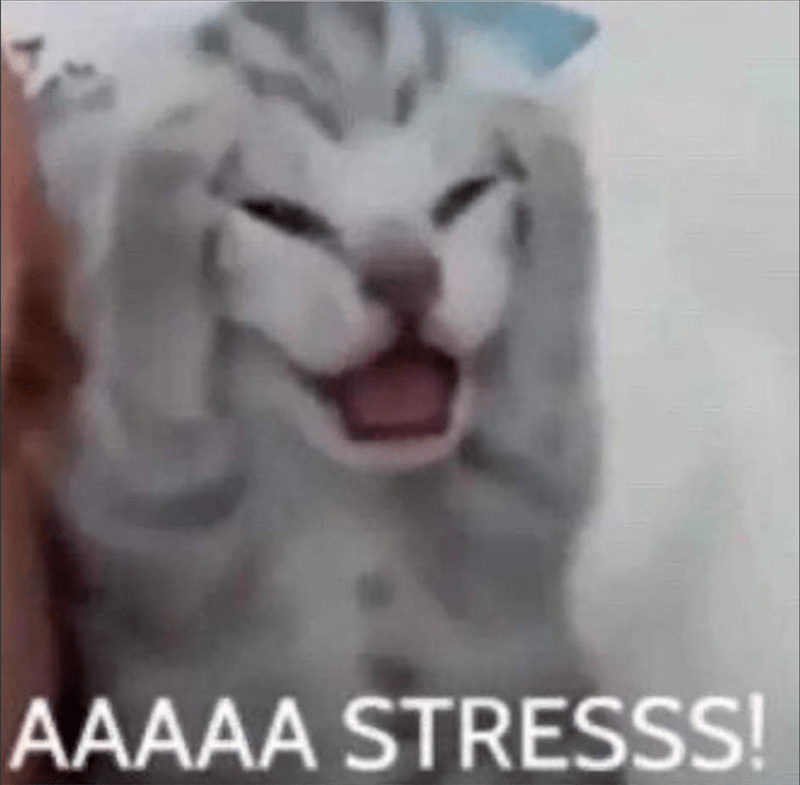 Guys, I am SO STRESSED. The video I'm putting together for this Sunday has so many TRUTH BOMBS, that the Deep State is going to come after me for sure. Should I still post it??