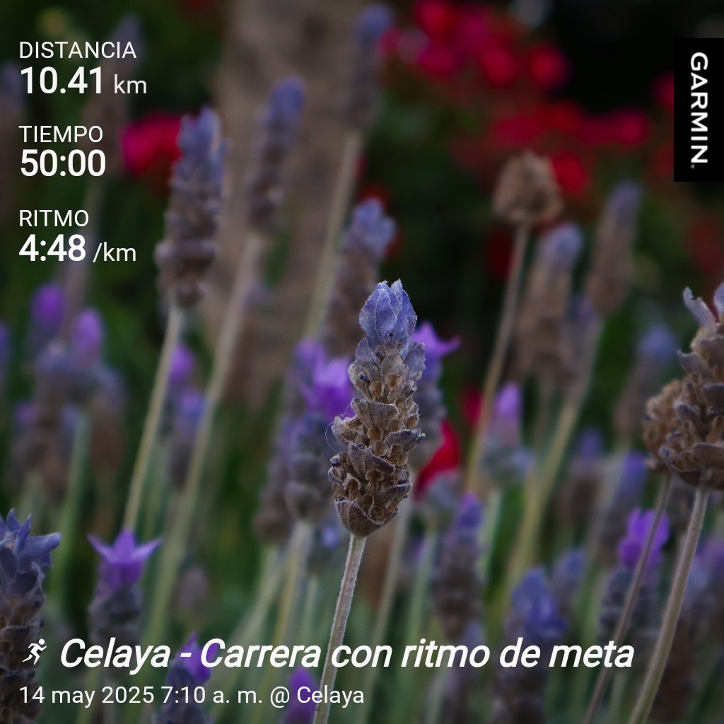 Aher Florez 🇲🇽🇮🇱 (@aherflorez) on Twitter photo Una deliciosa carrera con variaciones de velocidad
#garmin #beatyesterday #runningMotivation <a href="/CorroAMiPaso/">Corro A Mi Paso 🇲🇽</a> <a href="/deportesl_mx/">Deporte Sin Límite MX</a> <a href="/KMSxELA/">KMSxELA</a> <a href="/MeEncantaCorrer/">Me Encanta Correr</a> @ Una deliciosa carrera con variaciones de velocidad
#garmin #beatyesterday #runningMotivation <a href="/CorroAMiPaso/">Corro A Mi Paso 🇲🇽</a> <a href="/deportesl_mx/">Deporte Sin Límite MX</a> <a href="/KMSxELA/">KMSxELA</a> <a href="/MeEncantaCorrer/">Me Encanta Correr</a> @