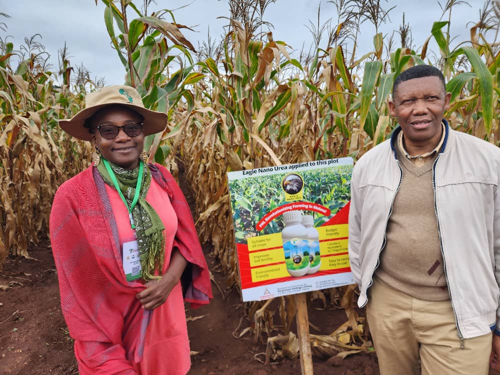 #Technologies to #FeedAfrica (@taat_africa) on Twitter photo Today, #AFAASExtensionWeek participants, including #TAAT, explored the government's Chitedze Demonstration site at <a href="/IITA/">margarita weinfurter</a> Malawi Station! They witnessed firsthand the showcase of improved agricultural technologies. A great day for learning and collaboration! #Agriculture Today, #AFAASExtensionWeek participants, including #TAAT, explored the government's Chitedze Demonstration site at <a href="/IITA/">margarita weinfurter</a> Malawi Station! They witnessed firsthand the showcase of improved agricultural technologies. A great day for learning and collaboration! #Agriculture