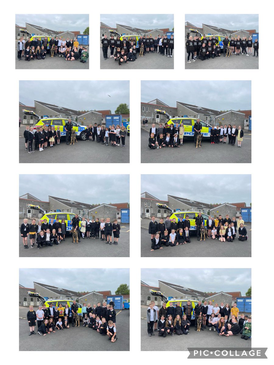 Angela Gallagher (Mrs G) (@ewocarronshore) on Twitter photo At assembly today we went outside to see PC Ingils Amanda PC Morrison came to speak to us about being a dog handler for the police. Every class had their photos taken. <a href="/carronshoreps/">Carronshore Primary</a> At assembly today we went outside to see PC Ingils Amanda PC Morrison came to speak to us about being a dog handler for the police. Every class had their photos taken. <a href="/carronshoreps/">Carronshore Primary</a>