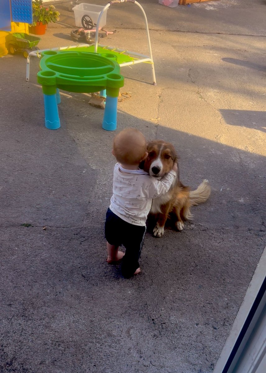 Niall Reidy tweet media