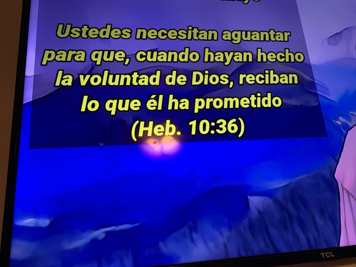 Nomas (@ariel_poll) on Twitter photo 