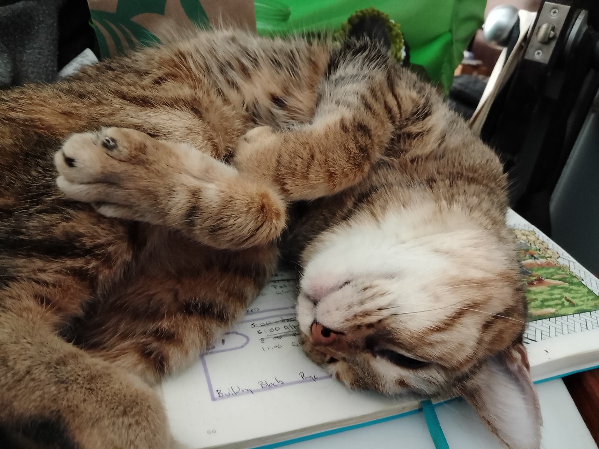 Adalisa Zarate, Fairy - Commissions Open. tweet media