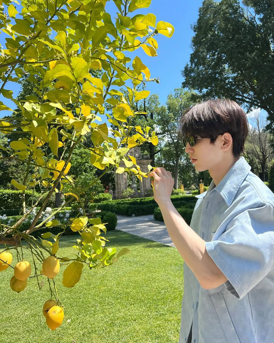 linghearchive's tweet photo. 📸 250514 Zhang Linghe IG Update #张凌赫 #ZHANGLINGHE 

“🌞” https://t.co/NNxtUicSuW