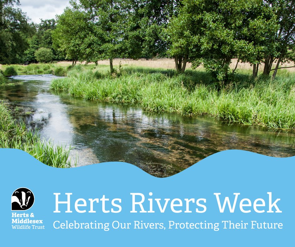 The very first Herts Rivers Week, a celebration of Hertfordshire's globally rare and beautiful chalk rivers, is taking place from Friday, 30 May - Sunday, 8 June! 📅

Click here to learn more about Herts Rivers Week and the events being organised:
hertswildlifetrust.org.uk/herts-rivers-w…