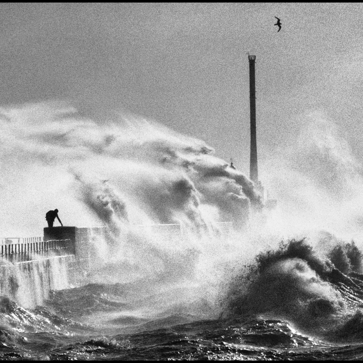 🌊📸 Jean Gaumy &amp; la Mer : exposition à ne pas manquer !
Du 14 mai au 17 août 2025, explorez l’univers maritime de Jean Gaumy, photographe légendaire, au Musée National de la Marine à Paris.
Plus d'infos ici ➡️ lc.cx/a5hV8n
