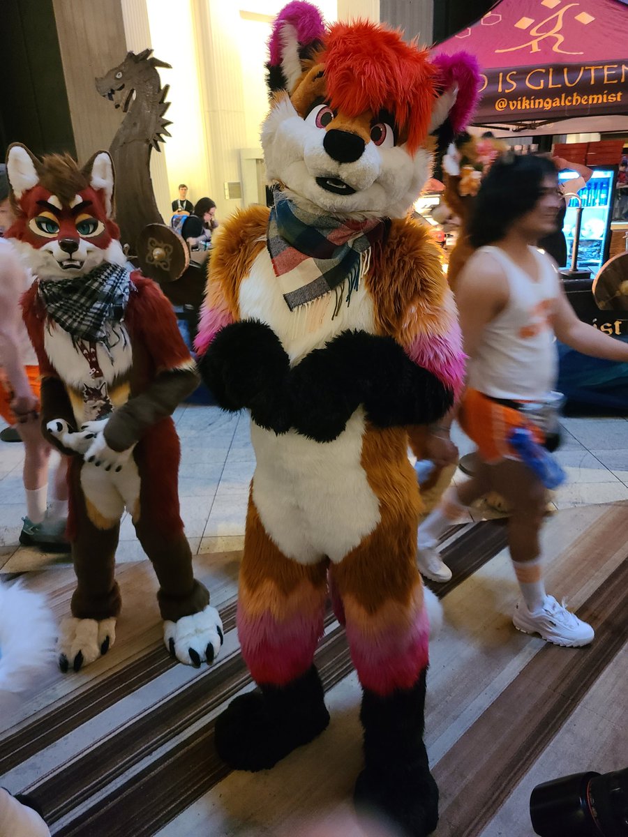 Looks like <a href="/Foxtalic/">Cassius🌱</a> is begging for treats at #FWA2025!