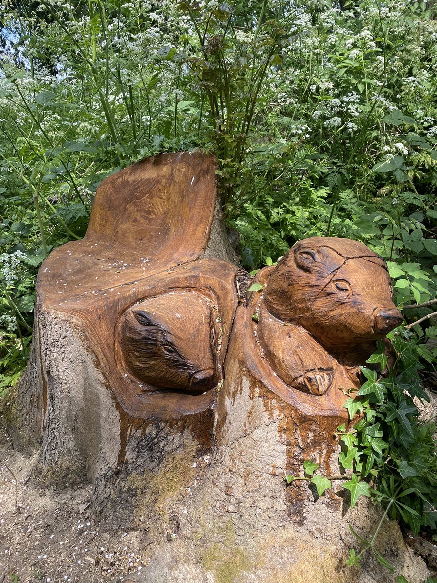 Steph Thompson tweet media