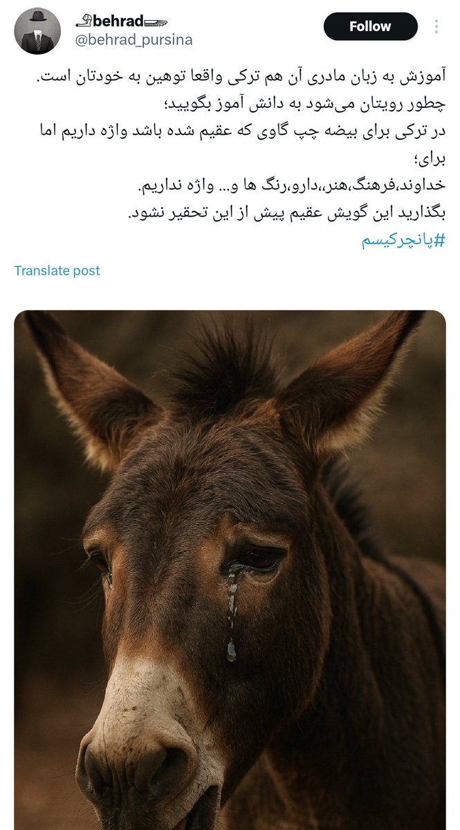 decjal1's tweet photo. بعنوان کسانی که زبانشان ترکیبی از عربی+تورکی+ هندی است ، زیاد در مورد زبانهای دیگر گوه میخورید.

زبان تورکی زبان مادری ماست و شما حق تحقیر زبان ما را ندارید. اگر بنا به تحقیر زبانها باشد ، زبان شما خیلی بیشتر از بقیه،  لایق تحقیر است

تانری، تنقری/ دب/ اردم /ساغلاملاشدیریجی/ اون https://t.co/9zfp0ICvGw