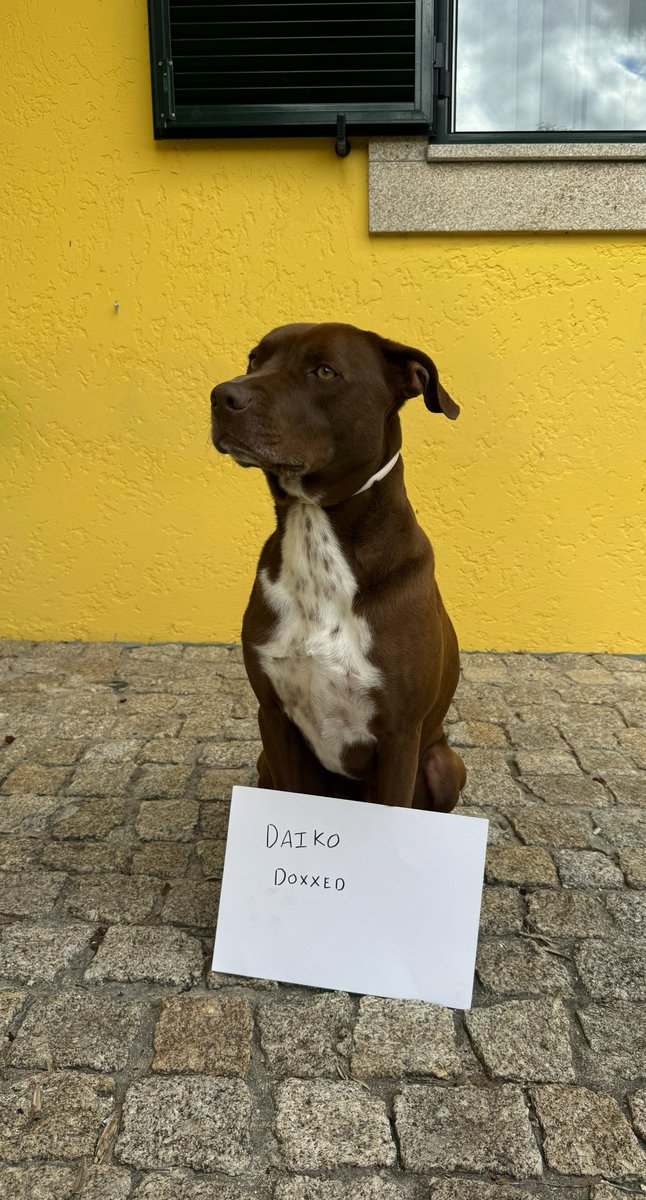 Lexus 🟧 (@stoiclexus) on Twitter photo 