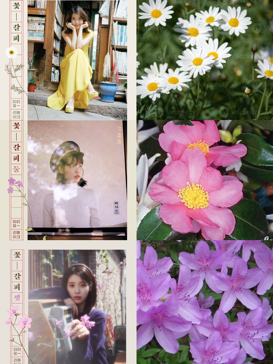 🌼A Flower Bookmark (2014)
- White Daisy symbolizes purity, innocence, and simplicity

🌺A Flower Bookmark 2 (2017)
- Pink camellia symbolizes faithfulness and longevity

🌸A Flower Bookmark 3 (2025)
- Korean azalea symbolizing love, longing, and the beauty of fleeting moments
