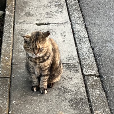 #新しいプロフィール画像