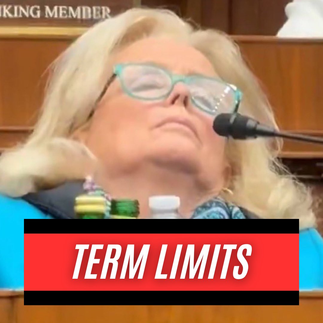 I’d be a HUGE fan of term limits…

Anyone else?!