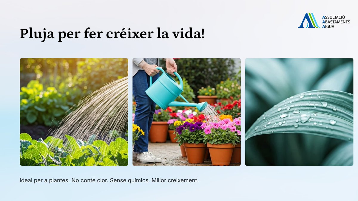 Pluja per fer créixer la vida! ☔🌱

L’aigua de pluja és ideal per a les plantes:
✅ Sense clor
✅ Sense químics
✅ Millor creixement

Natural i perfecta per al teu jardí!

#AiguaDePluja #Jardineria #Sostenibilitat #VidaVerda #AAA
