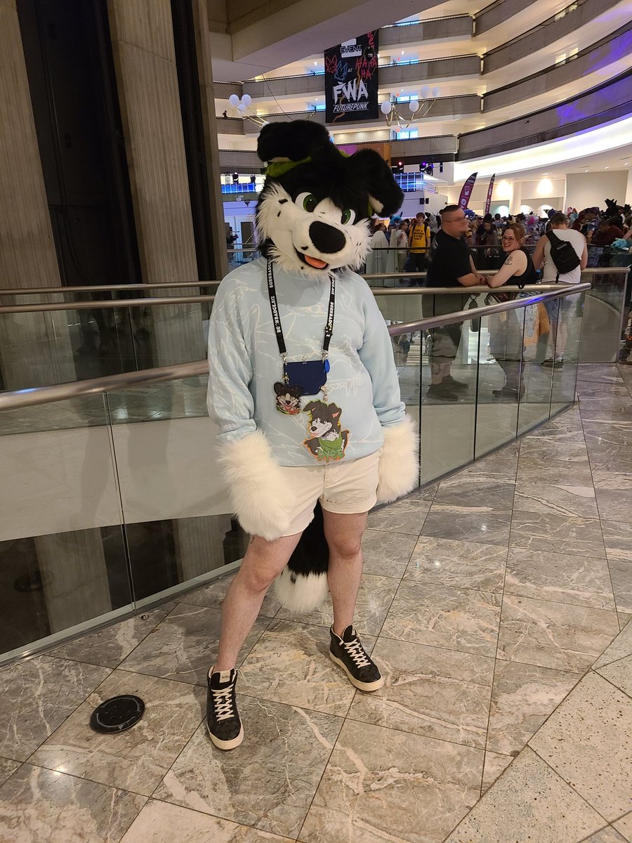 <a href="/Dyceycollie/">🌿🌿 Dycey 🌿🌿</a> hoping you have some tennis balls to throw at #FWA2025