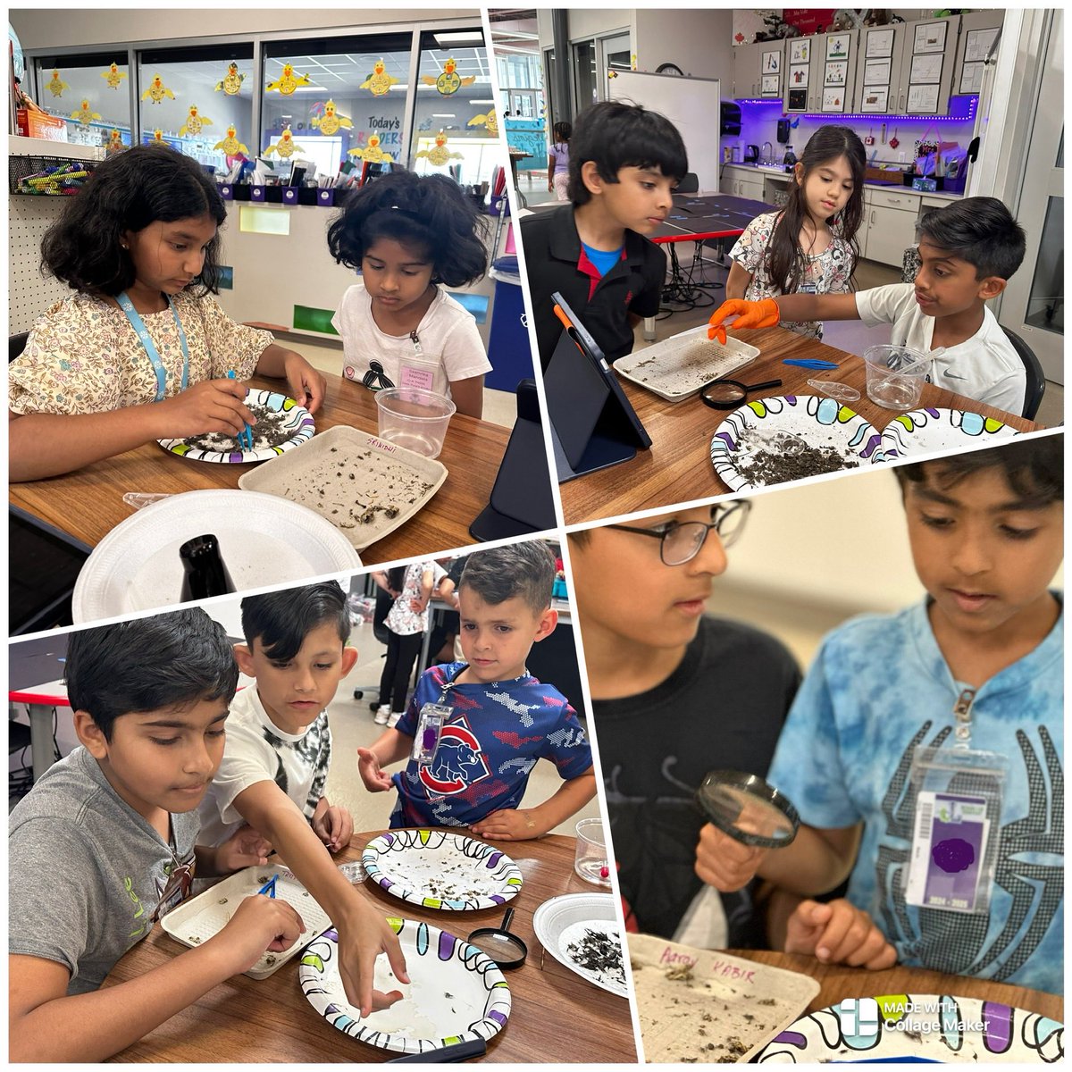 May Voltz (@mayv1) on Twitter photo PK <a href="/pk_krew/">Tabitha Burch</a> <a href="/NetZeroLee/">Richard J. Lee Elementary</a> #ScientificLEESpeaking <a href="/NetZeroLee/">Richard J. Lee Elementary</a> <a href="/CISD_Science/">CISD Science & Phys Ed</a> Extending their Zoo experiences by learning with our P5 scientists today! #OwlPellets 🦉 PK <a href="/pk_krew/">Tabitha Burch</a> <a href="/NetZeroLee/">Richard J. Lee Elementary</a> #ScientificLEESpeaking <a href="/NetZeroLee/">Richard J. Lee Elementary</a> <a href="/CISD_Science/">CISD Science & Phys Ed</a> Extending their Zoo experiences by learning with our P5 scientists today! #OwlPellets 🦉