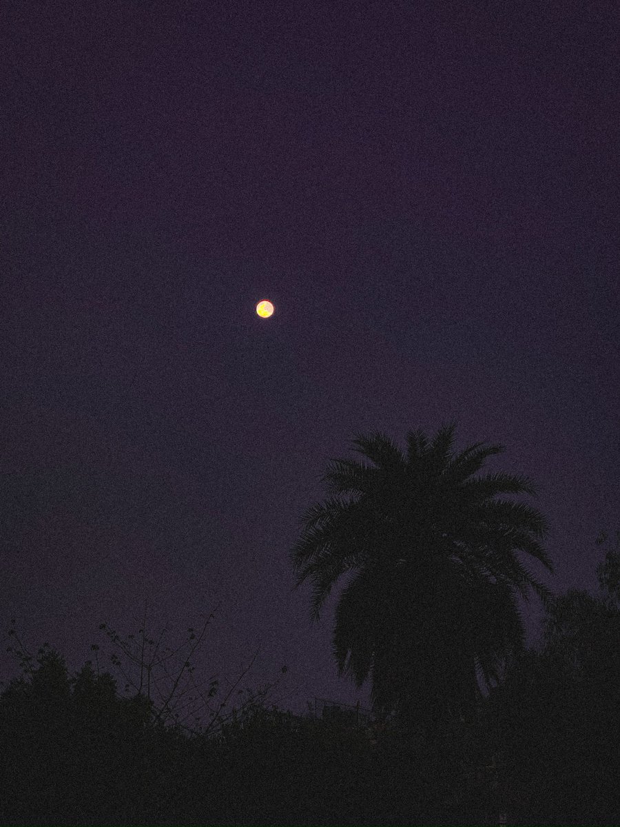 Bharath Gowda (@bharathgowda_) on Twitter photo 