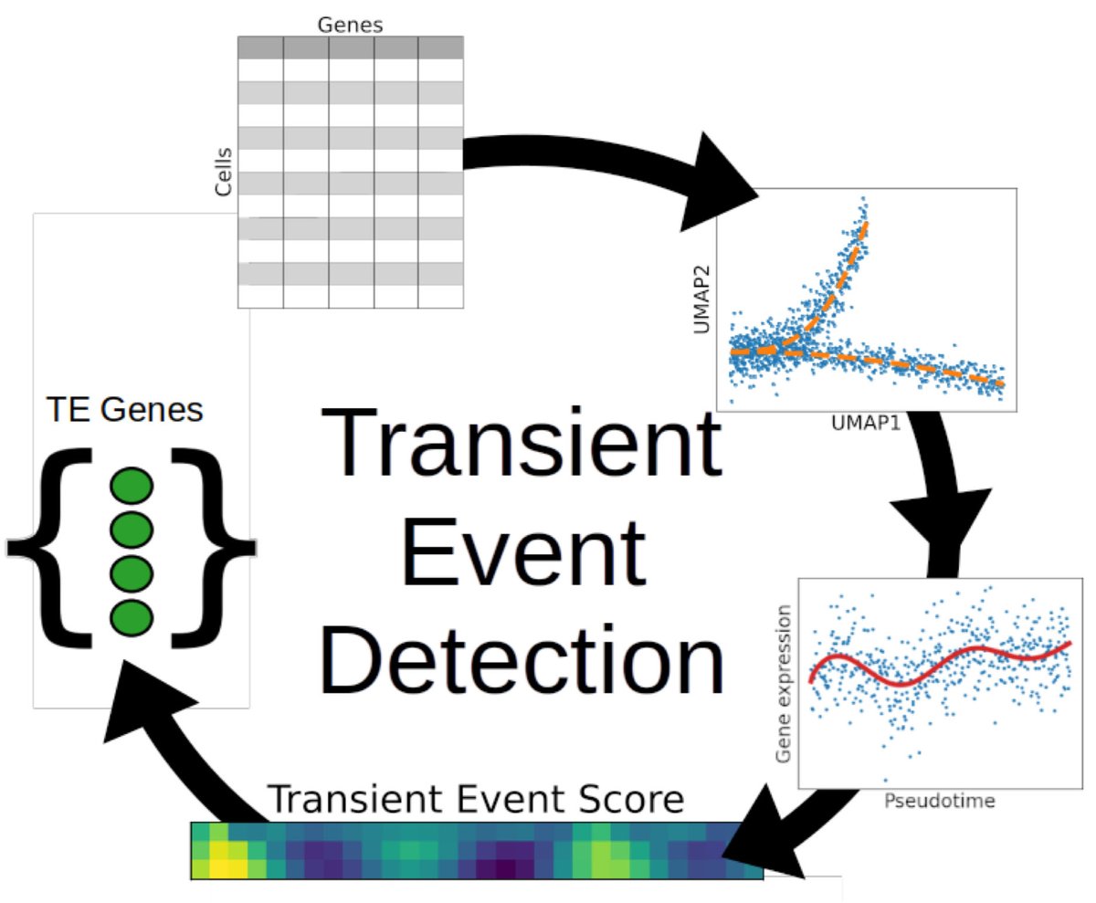 scTransient: Single-Cell Trajectory Inference for Detecting Transient Events in Biological Processes biorxiv.org/content/10.110…