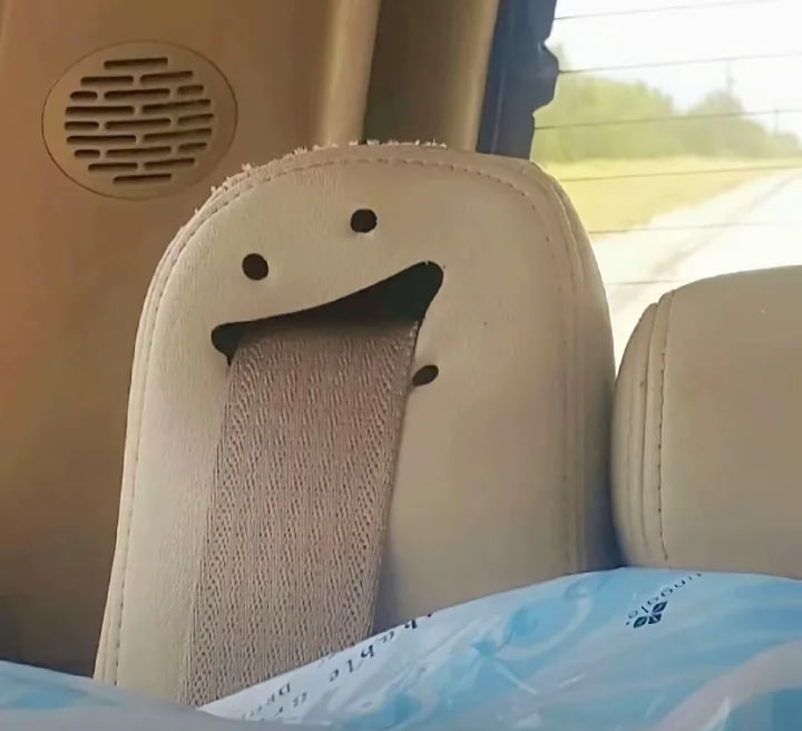 今日のドライブ、最高でした！でも、このシートベルトは僕より楽しんでるみたいだね。😜🚗