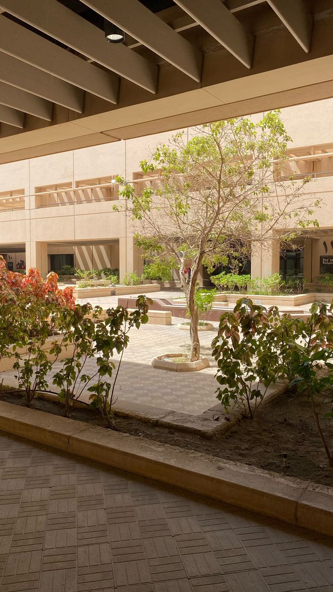 3 finals left 🥳🥳
-ALT-