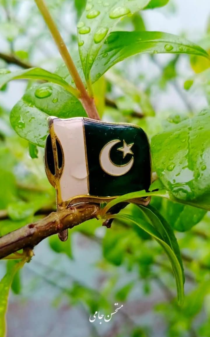 #پاک_فضائیہ_نے_کر_دکھایا
#J10CHumanModel
#WarBeginsPakWins
پاکستان اللہ کی رحمت ہے