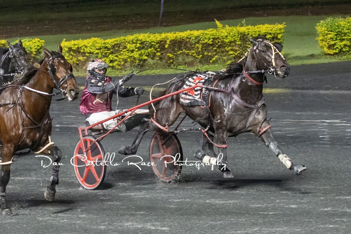 Dan Costello (@danracingwrap) on Twitter photo My Scimitar with <a href="/barnesy1997/">Brendan Barnes</a> burst through to win race 9 <a href="/redcliffe_hrc/">Redcliffe Harness Racing Club</a> for trainer <a href="/RileyButtRacing/">Riley Butt Racing</a> <a href="/chapeauxx/">Alan Aitken</a> <a href="/gregmitc/">GREG MITCHELL</a> My Scimitar with <a href="/barnesy1997/">Brendan Barnes</a> burst through to win race 9 <a href="/redcliffe_hrc/">Redcliffe Harness Racing Club</a> for trainer <a href="/RileyButtRacing/">Riley Butt Racing</a> <a href="/chapeauxx/">Alan Aitken</a> <a href="/gregmitc/">GREG MITCHELL</a>