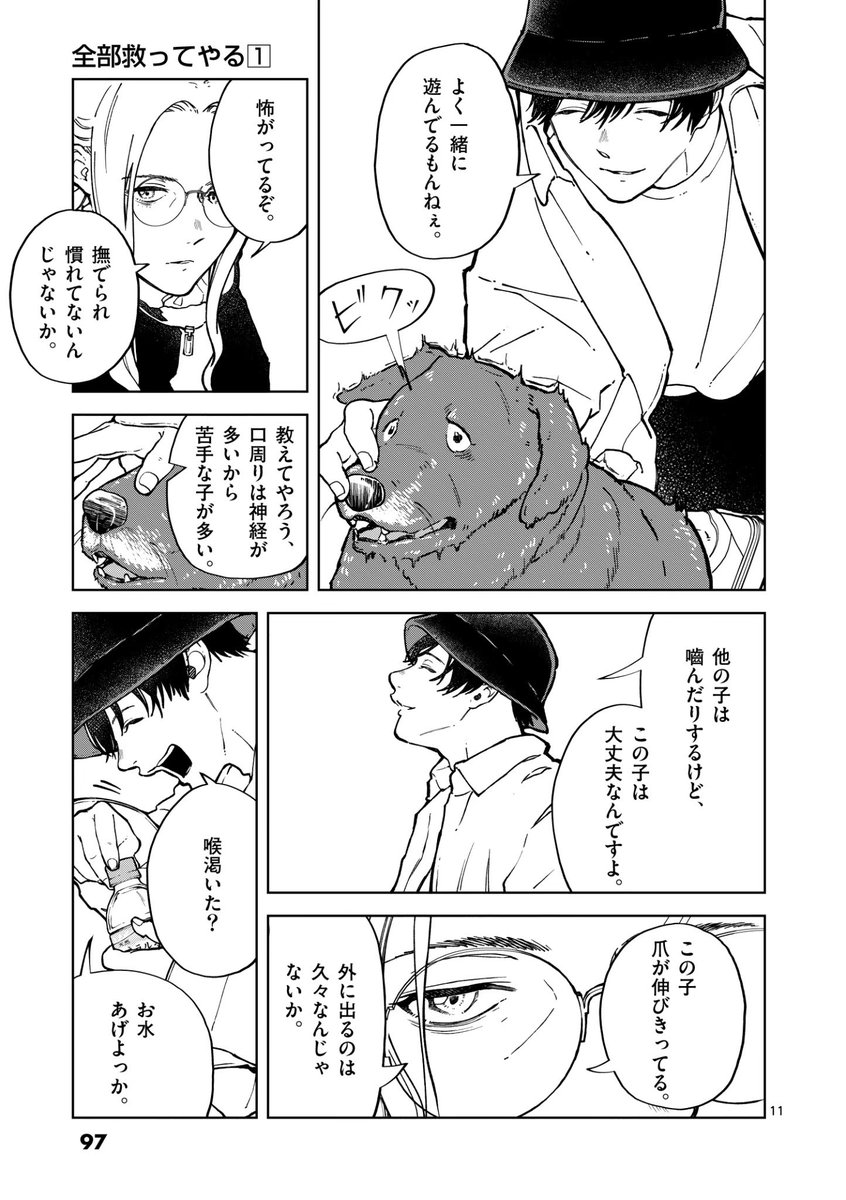 イヌの街頭募金、あなたは払う?払わない?(3/8) 