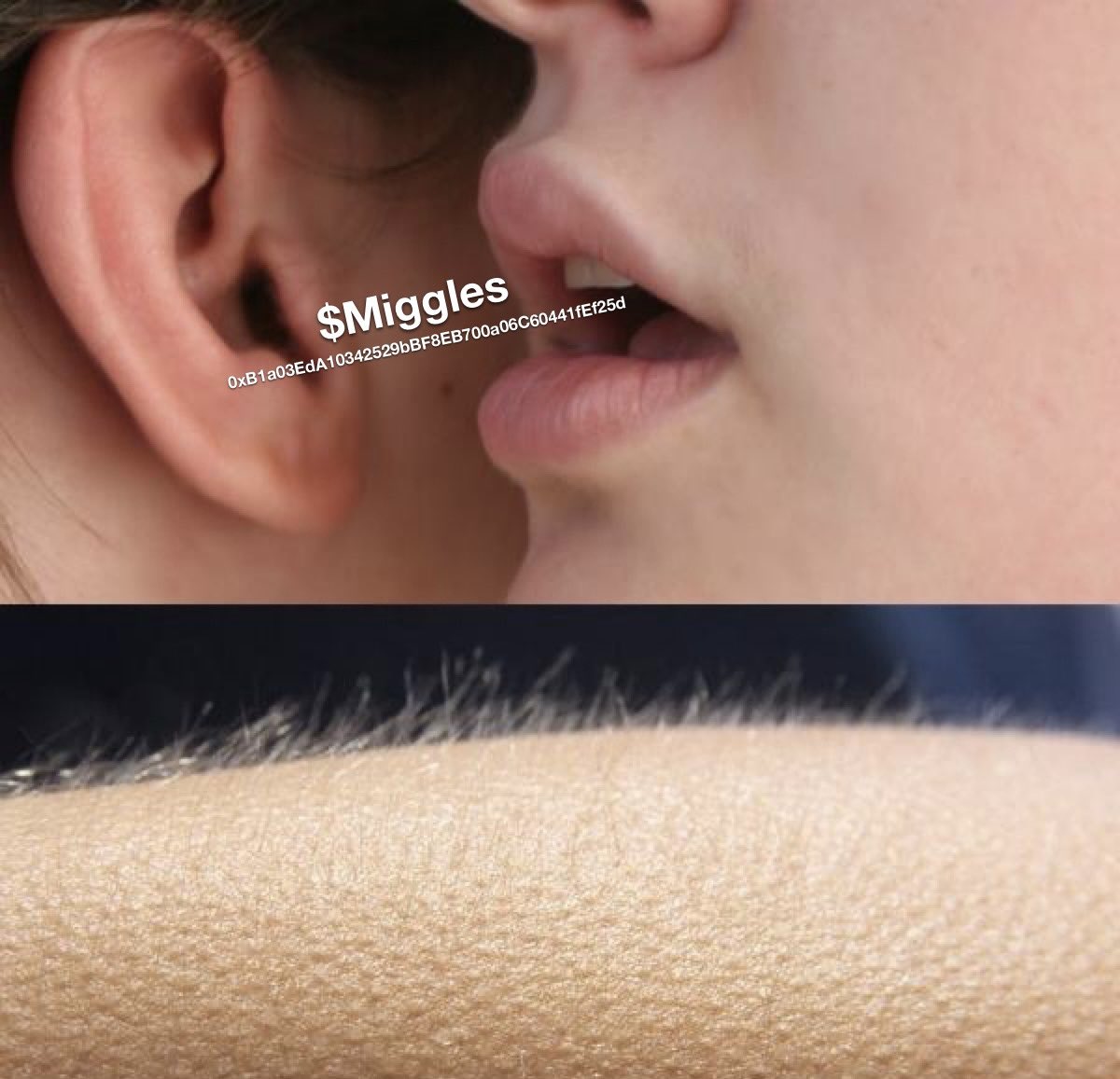 Alpha👂🙊