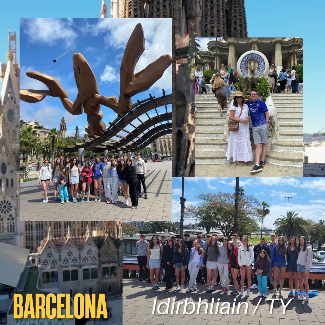 ColáistePobailOsraí (@colpobosrai) on Twitter photo Bhí sár-am ag an Idirbhliain i mBarcelona na Spáinne. TY had a great time in Barcelona with teachers M.Máire and M.Keith. <a href="/KCETB_Schools/">KCETB Schools</a>
osrai.ie/turas-barcelon… Bhí sár-am ag an Idirbhliain i mBarcelona na Spáinne. TY had a great time in Barcelona with teachers M.Máire and M.Keith. <a href="/KCETB_Schools/">KCETB Schools</a>
osrai.ie/turas-barcelon…