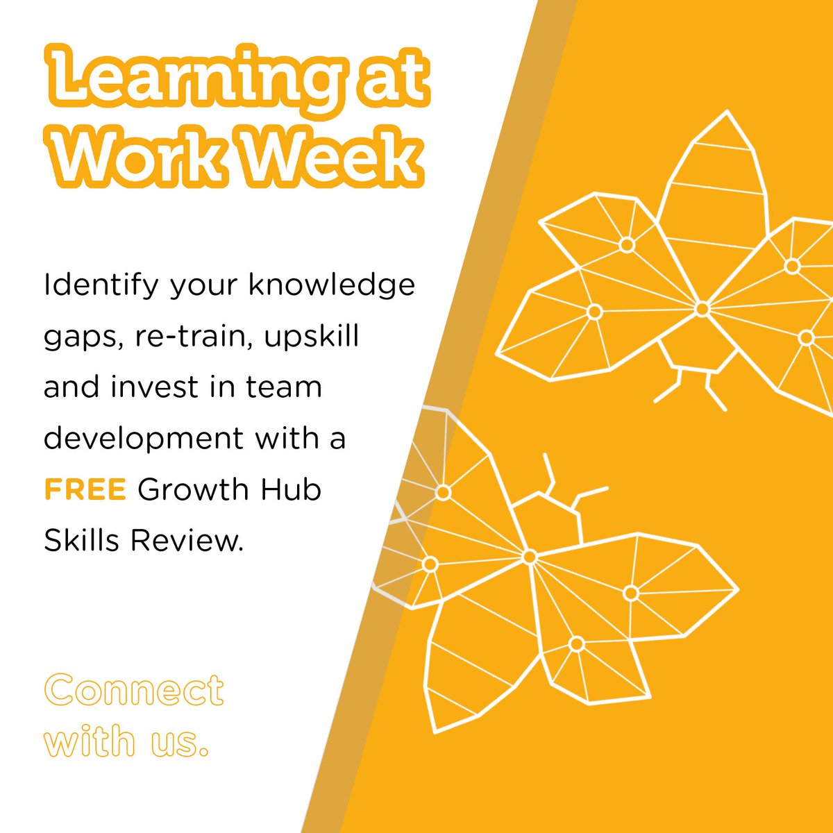Get in touch with us this Learning at Work Week. We can offer a FREE Skills Review to help you identify training needs in your business and offer guidance on where and how to go about getting the best fit solution.