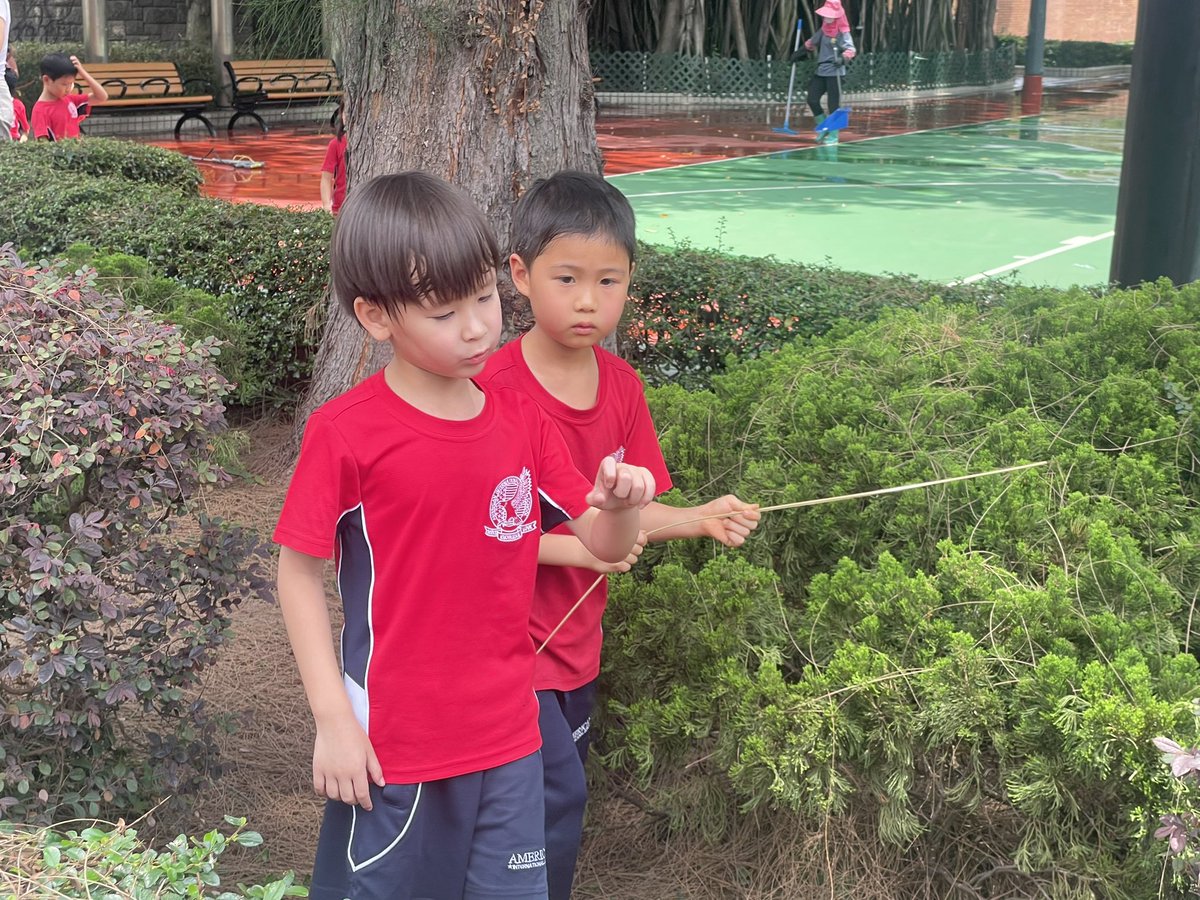 Mandy Kaur tweet media